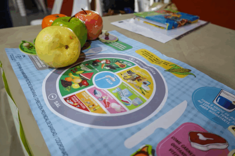 ELEGIR ALIMENTOS SALUDABLES Y SUMAR HÁBITOS, CLAVES EN CADA CICLO DE VIDA